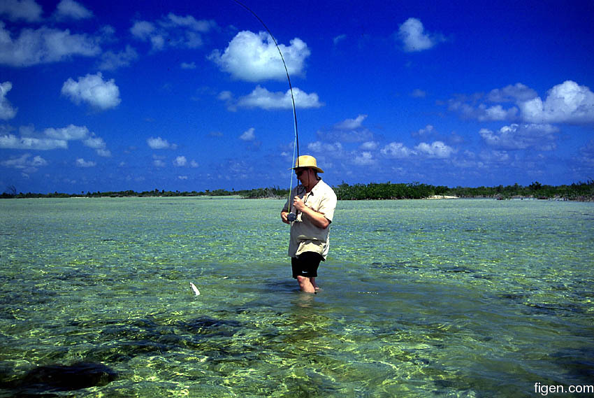 big_010220-mexico-punta_allen-figen_firstbone7.jpg