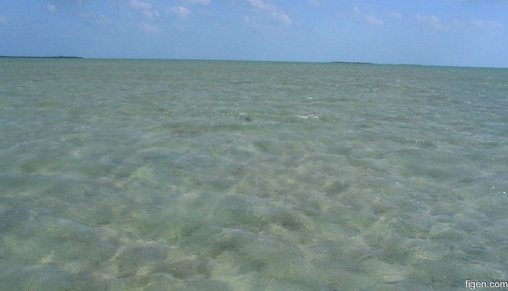 big_060307-Bahamas-Abaco-windy-fish.jpg