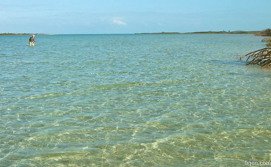 big_070220-Abaco-mudflat-julestripp2.jpg