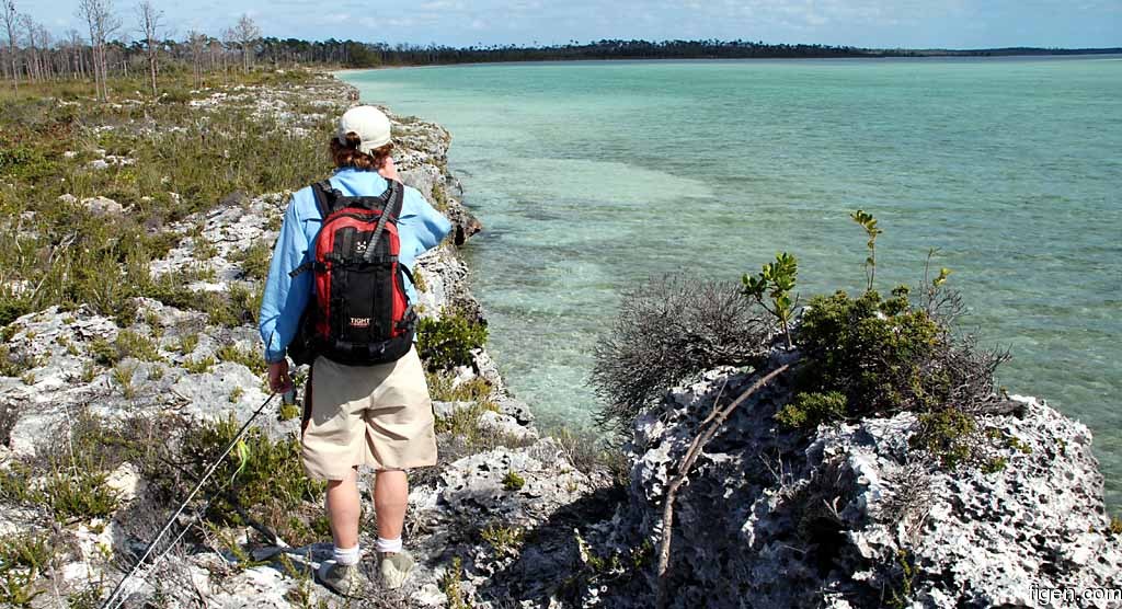 big_070224-Bahamas-Abaco-Julern-shoreline2-AF.jpg