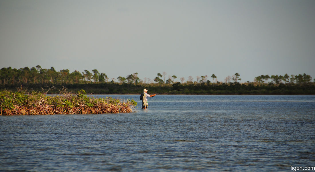 big_071103-Abaco-Purka-Frank2.jpg