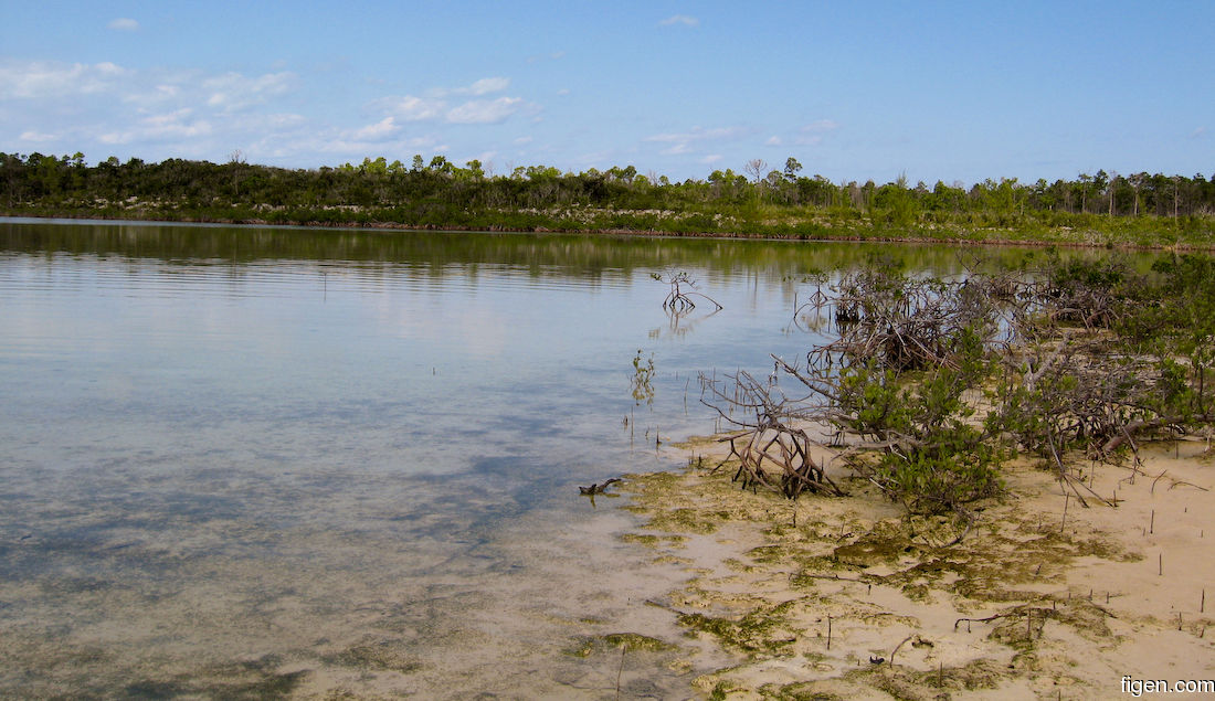 big_071106-Abaco-Purka-bayarea.jpg