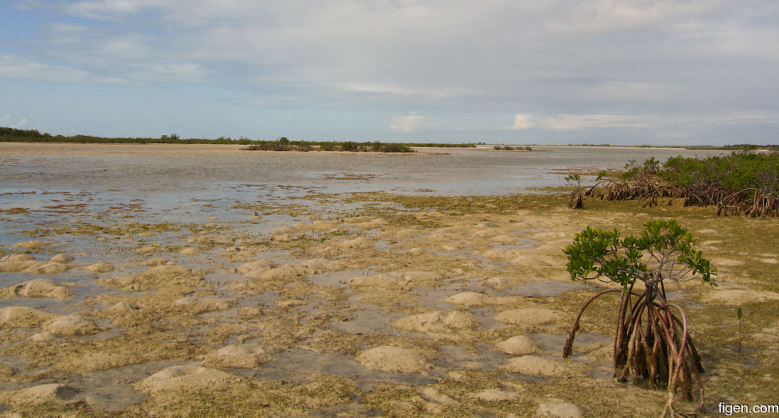 big_071113-Abaco-Purka-kanalen.jpg