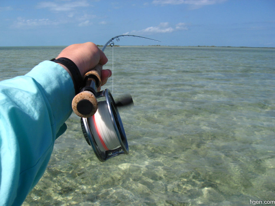 big_080221-bahamas-abaco-purka-channel4.jpg