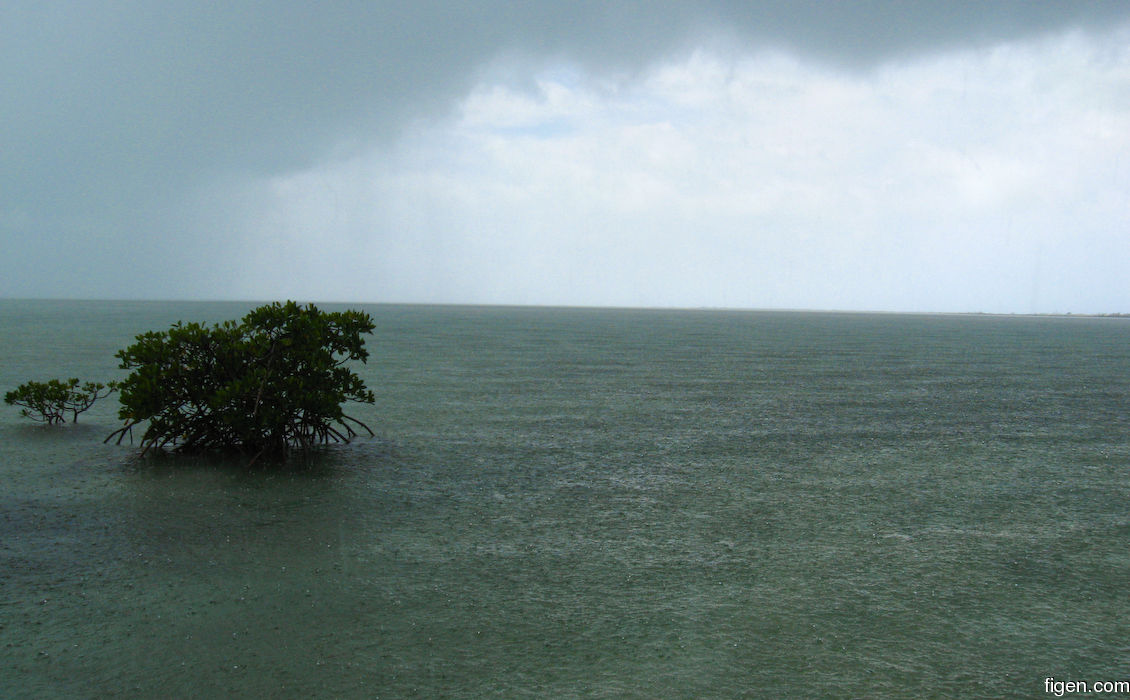 big_080223-bahamas-abaco-purka-rain.jpg