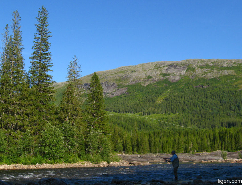 big_080727-Nordland-fjell.jpg