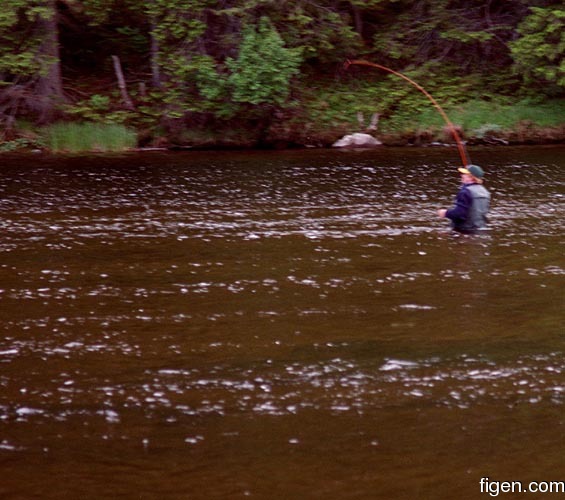 big_980706-Trysil-Julern_mister_fisk.jpg