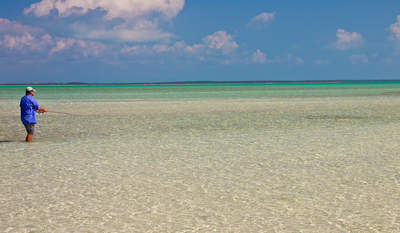 big_070222-Abaco-sandbank-turtlegrass2.html