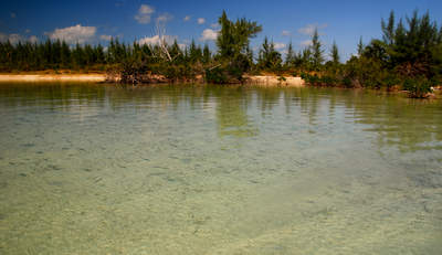 big_071110-Abaco-cays-school-fry.html