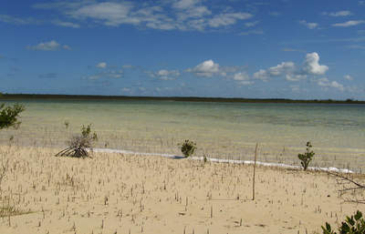 big_071112-Abaco-Purka-stoloya.html