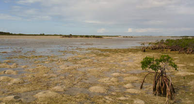 big_071113-Abaco-Purka-kanalen.html