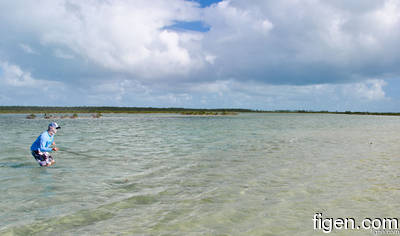 big_111211-bahamas-abaco-Lars1.html