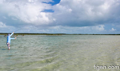 big_111211-bahamas-abaco-Lars2.html