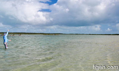 big_111211-bahamas-abaco-Lars3.html