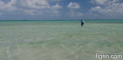 big_111213-bahamas-abaco-sandbank-lars.html