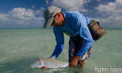 big_111213-bahamas-abaco-sandbank-lars2.html