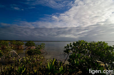 big_111216-bahamas-abaco-colors.html