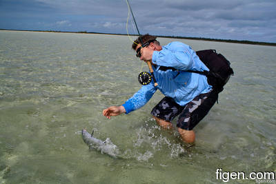 big_111216-bahamas-abaco-figen2-LJ.html