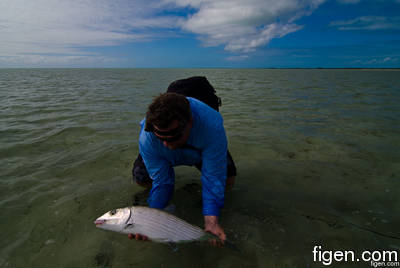 big_111216-bahamas-abaco-figen6-LJ.html