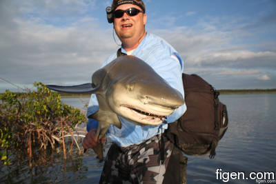 big_111217-bahamas-abaco-shark-LJ.html