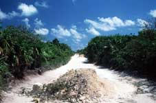 Punta Allen Road