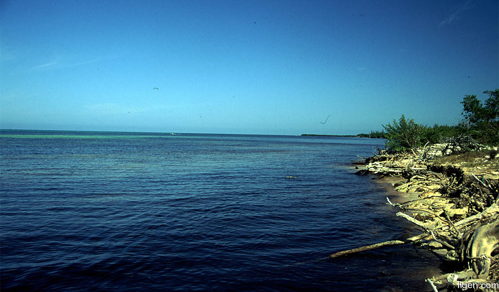 big_010218-mexico-cozumel-ocean_view.jpg