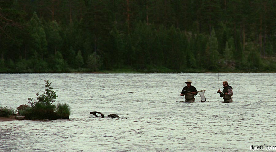 big_980706-Trysil-Morten.jpg